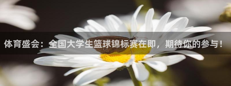 球速体育：体育盛会：全国大学生篮球锦标赛在即，期待你的参与！