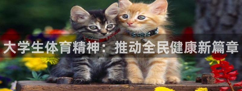 球速体育：大学生体育精神：推动全民健康新篇章