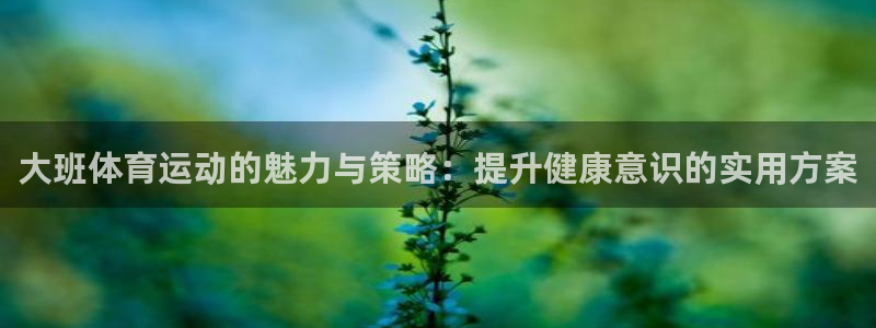 球速体育：大班体育运动的魅力与策略：提升健康意识的实用方案