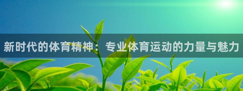球速体育：新时代的体育精神：专业体育运动的力量与魅力