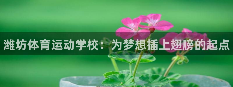 球速体育：潍坊体育运动学校：为梦想插上翅膀的起点