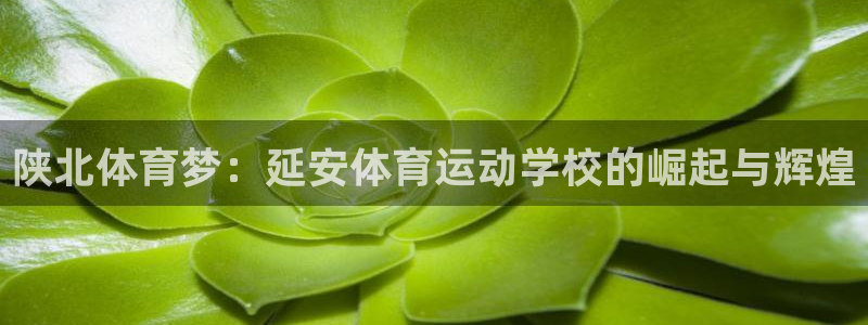 球速体育：陕北体育梦：延安体育运动学校的崛起与辉煌